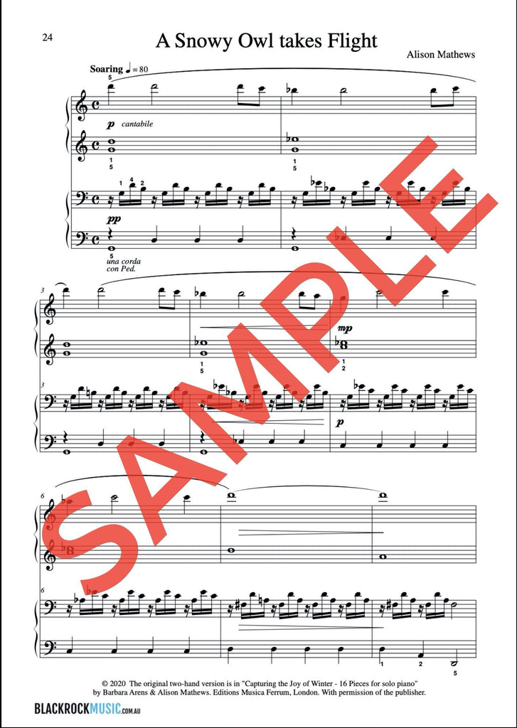 A Snowy Owl Takes Flight