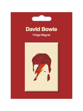 David Bowie Fridge Magnet Aladdin Sane